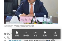 违纪违法原因千千万，白嫖公务机头次见 ​​​