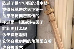忽有清风化剑气，直斩二十少年意。 ​​​
