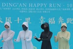 椰树你怎么了椰树？！