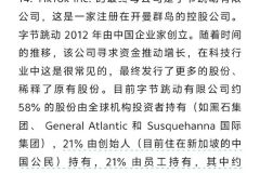 字节在给米法院的请愿书中披露的其股权结构。