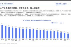 大厂员工年龄排行：拼多多最低、富士康最高