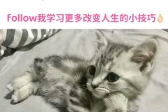 学到了真正的人生小技巧 ​​​