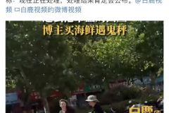 抢劫手机应该是刑事犯罪吧？