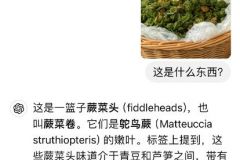 那一个个下午
