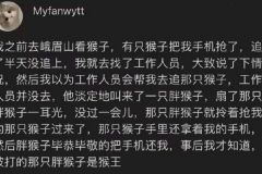 这猴王得天天挨巴掌了 ​