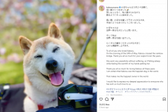 今天早上，全世界最著名的狗狗去世了