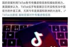 TikTok出新规