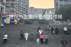 《重庆人一定很瘦吧》 ​​​