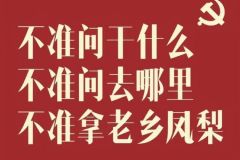 快了快了