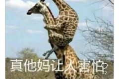 历史上外交时有哪些尴尬场面？ ​​​