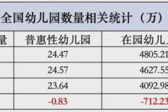 那些被迫关停的幼儿园，现在都怎么样了